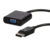 D Port to VGA Converter