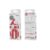 Remax Y12 Wired Stereo Handsfree 3.5mm